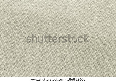 Traditional primed canvas texture