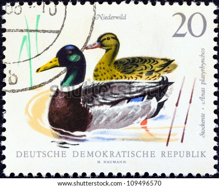 GERMAN DEMOCRATIC REPUBLIC - CIRCA 1968: A stamp printed in Germany from the \