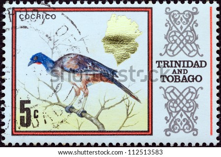 TRINIDAD AND TOBAGO - CIRCA 1969: A stamp printed in Trinidad and Tobago shows a Rufous-vented chachalaca (Cocrico) bird, circa 1969.