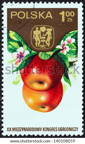 POLAND - CIRCA 1974: A stamp printed in Poland from the 