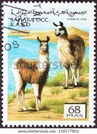 WESTERN SAHARA - CIRCA 1996: A stamp printed in Western Sahara shows Lama guanicoe, circa 1996.