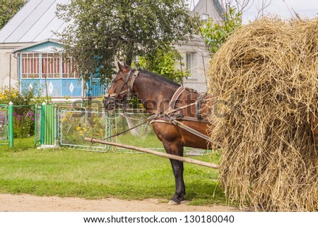 One horse transportation hay on wooden cart - Ukraine. In background traditional cottage.