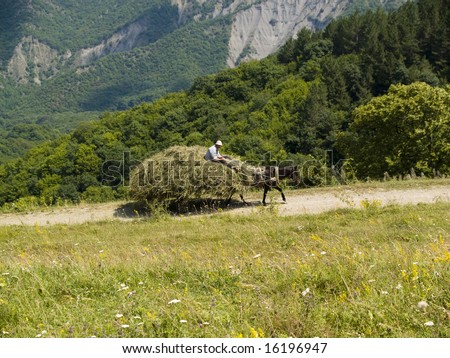 Man on the hay. Donkey in front. Beauty country view