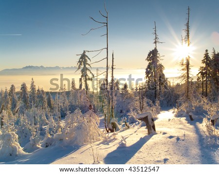 Winter sunset in Polish mountain. White snow. Winter time