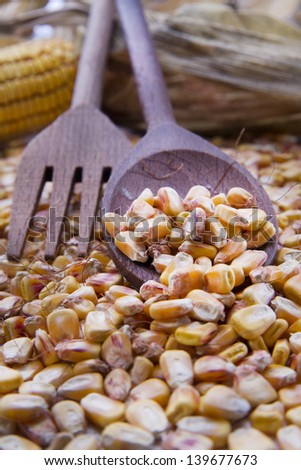 Harvest Time And Harvest Corn