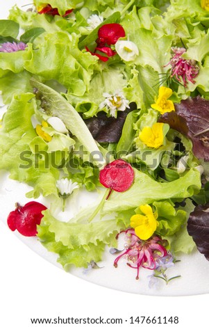 Outline Alternative Of Salad And Flowers, Healing And Draining