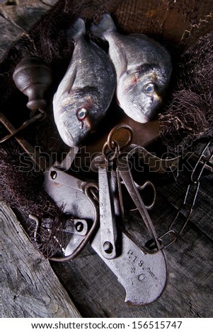 Weighing The Fish Of Sea Bream With Old Balance