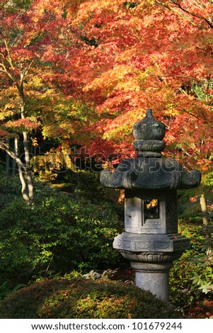 Japanese Lantern in the foreground right. Background of japanese maple trees showing beautiful fall coloring.Japanese Garden,Washington Park Arboretum,Seattle./ arboretum 12 / Beautiful autumn colors!