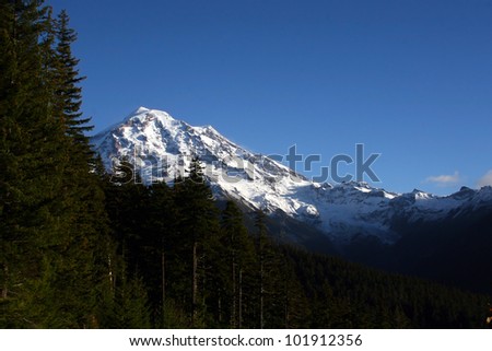 Foreground of douglas fir trees which span across lower portion of photo at an angle and cover completely on left side of frame.