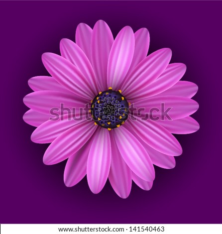 Vector Realistic Purple Flower
