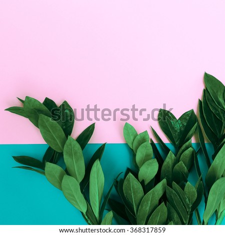 Green Plants on stylish background. Minimalist fashion