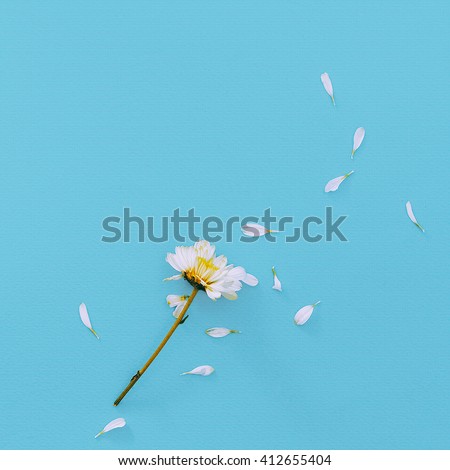 White Flower on blue background. Minimalism Fashion Details