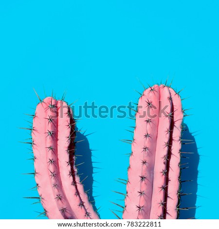 Pink Cactus. Contemporary Art. Minimal design