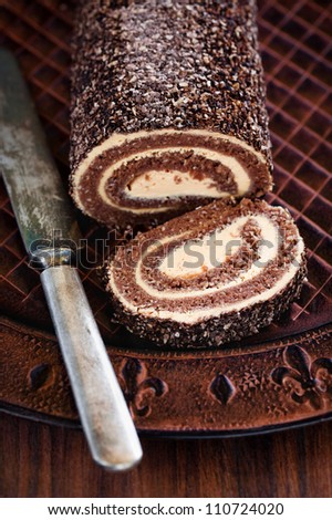 Oatmeal chocolate swiss roll, selective focus