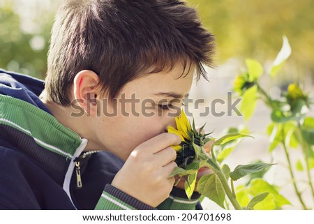 Child who holds a sunflower to smell it