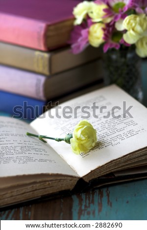 Yellow flower on open book with books and flowers in background