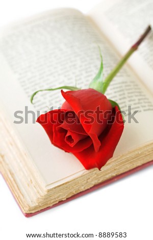 Red rose on open book
