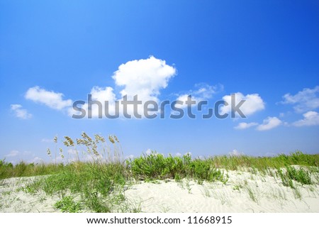 beach sand dunes. each sand dunes and grass