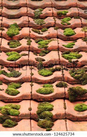 Roof with Moss
