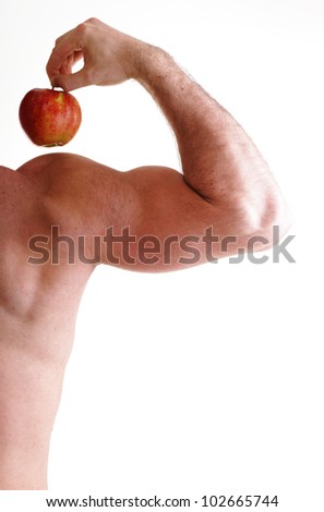 Bicep Muscle