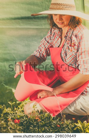 Gardening. Woman in hat red apron working in her backyard garden watering plants flowerbeds outdoor
