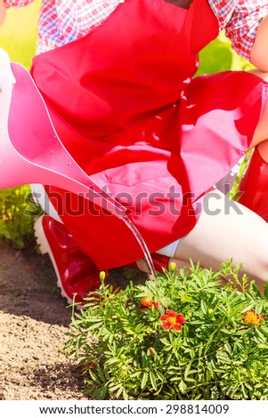 Gardening. Closeup woman working in her backyard garden watering plants flowerbeds outdoor