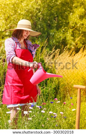 Gardening. Mature woman working in her backyard garden watering plants flowers outdoor