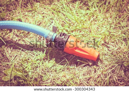 Gardening. Blue plastic sprayer hose for irrigation laying in garden on ground