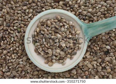 Hemp seeds or hemp nuts are a high-protein food source