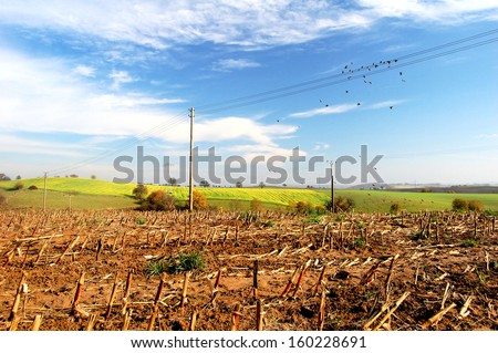 Harvested field and agriculture landscape