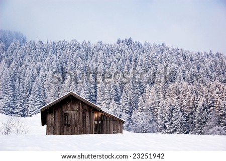 Lonely barn in a winter landscape