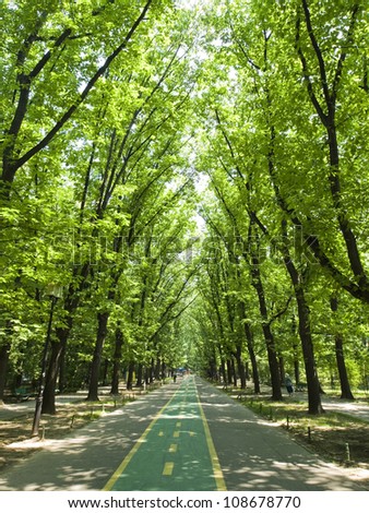 biking road in green forest of a city park, Bucharest