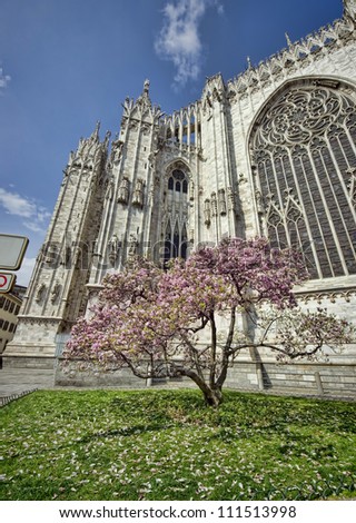 The Dome of Milan, Italy and spring tree with flowers