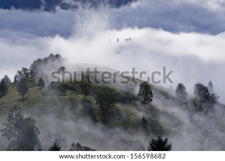 mystic forest with clouds and fog in Romania