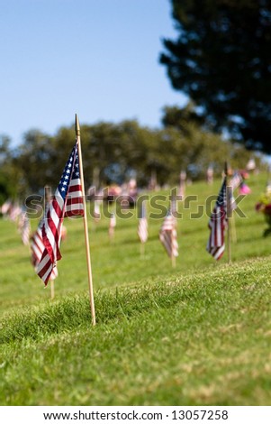 American flags decorate the graves of former service people at a cemetery