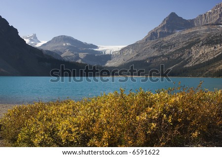 Fronted by yellow leaved shrubs and backed by mountains and a glacier, Bow Lake on the Icefields Parkway in Alberta, sparkles brilliant blue.