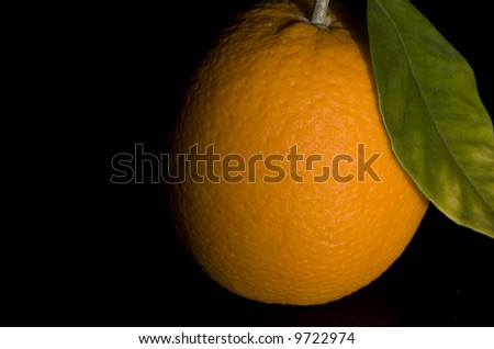 A freshly picked orange with a leaf from the tree still attached.