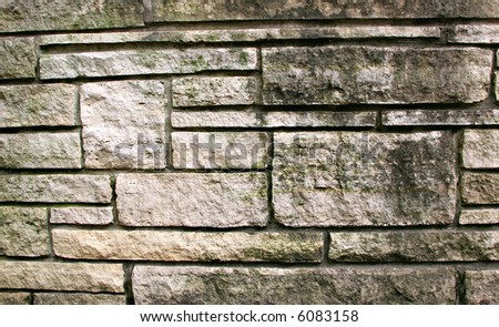 Mildew Growing on Aged Stone Wall
