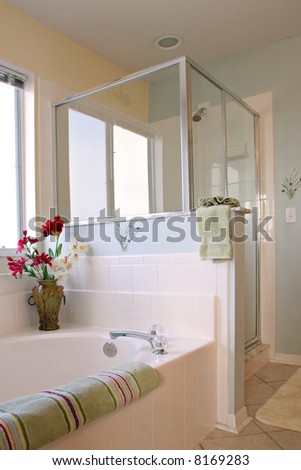 Clean Bathroom Interior Decorated