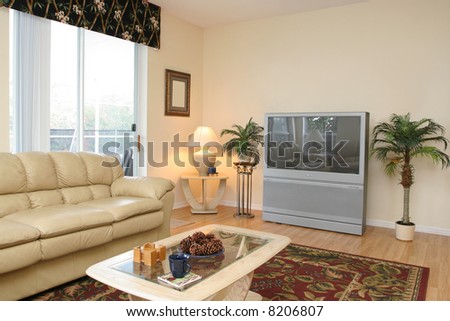 Living Room Corner with Big Screen TV