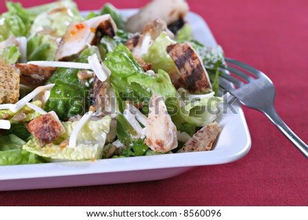 barbecue chicken salad with cheese