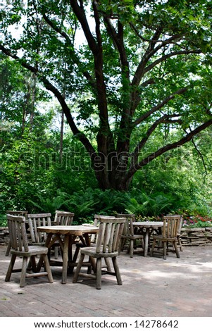 Cafeteria Tables under Big Tree