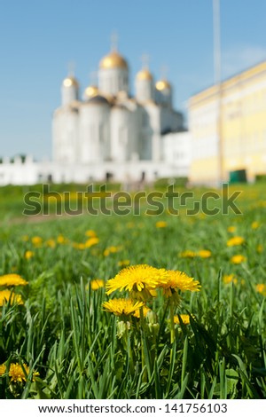 Dandelions and Assumption Cathedral. Vladimir, Russia