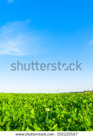 Beautiful Wallpaper Fields of Green Grass Area