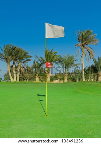 Golf Flag Spread On The Wind