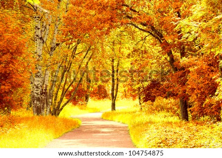 Fall Wallpaper Idyllic Nature