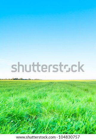 Country Meadow Farming Grass Area