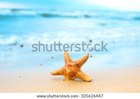 star shell