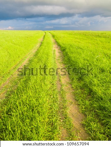 Way through the Green On a Country Lane