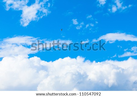 Blue View Clouds